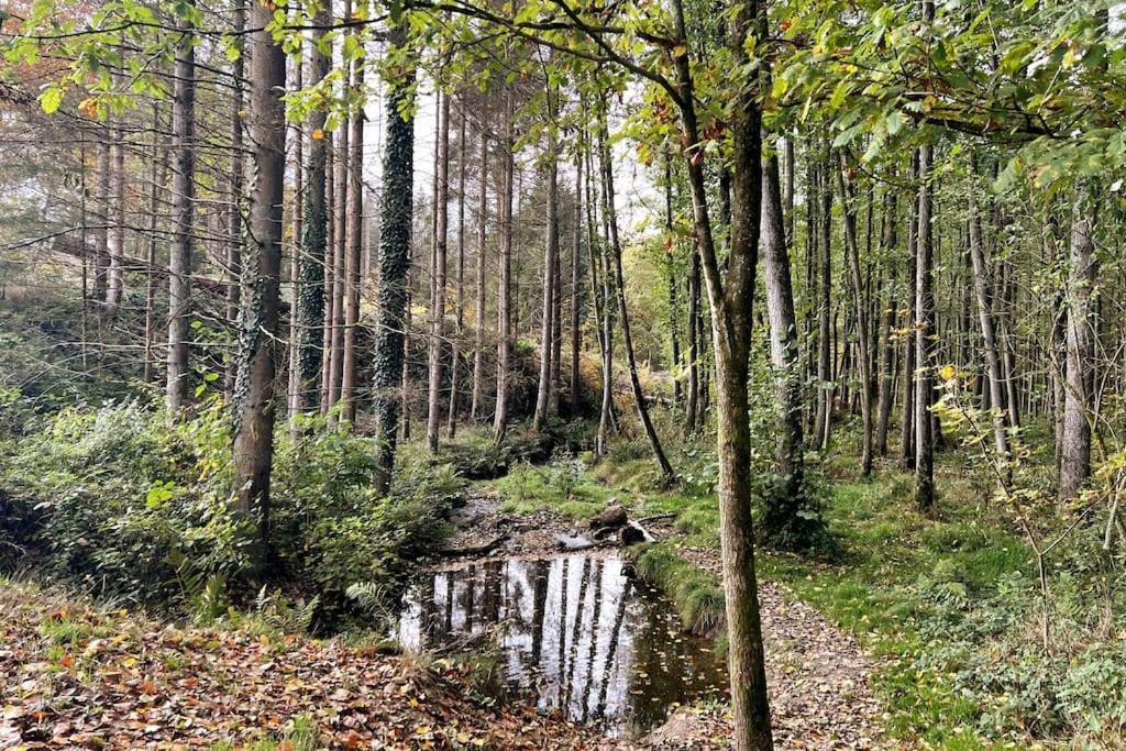 Forest Retreat- Serene 160M2 With Forest Views Wermelskirchen Dış mekan fotoğraf