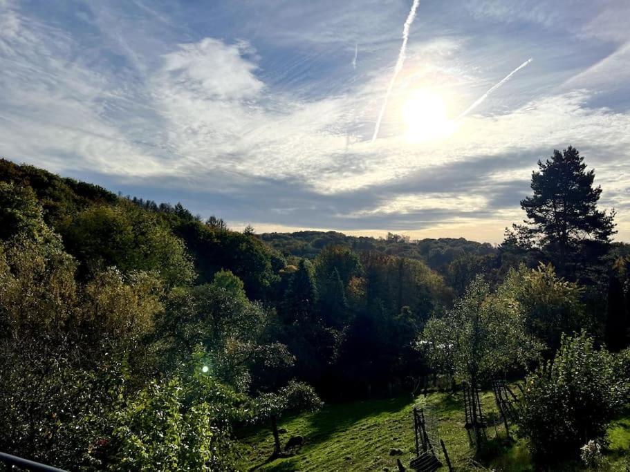 Forest Retreat- Serene 160M2 With Forest Views Wermelskirchen Dış mekan fotoğraf